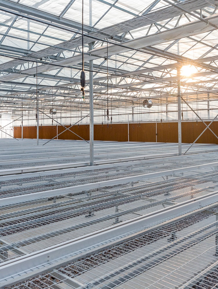 FloraLife® Strip-IT® Cleaner