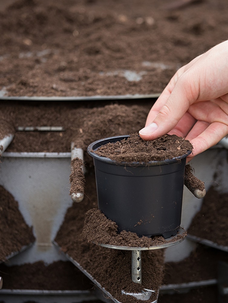 OASIS® SOAX® Granular Wetting Agent