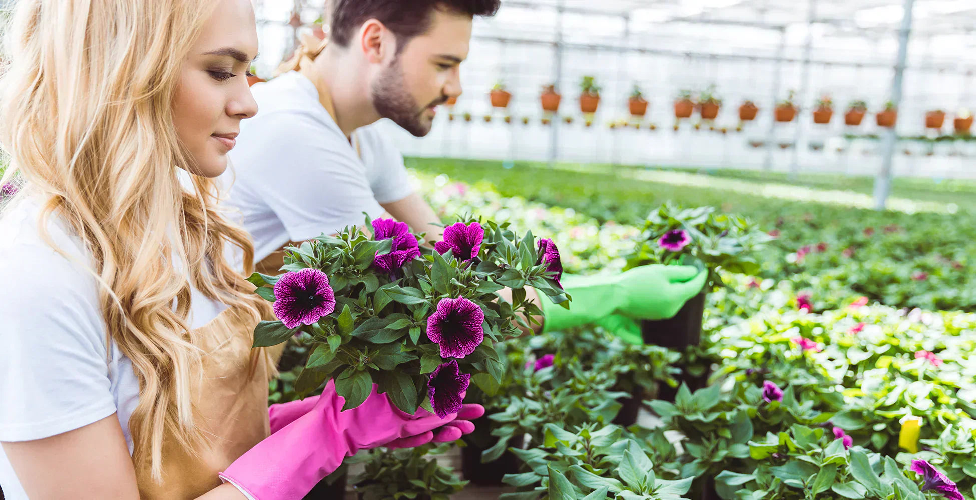 Innovations That Help You Grow, From Propagation to Postharvest