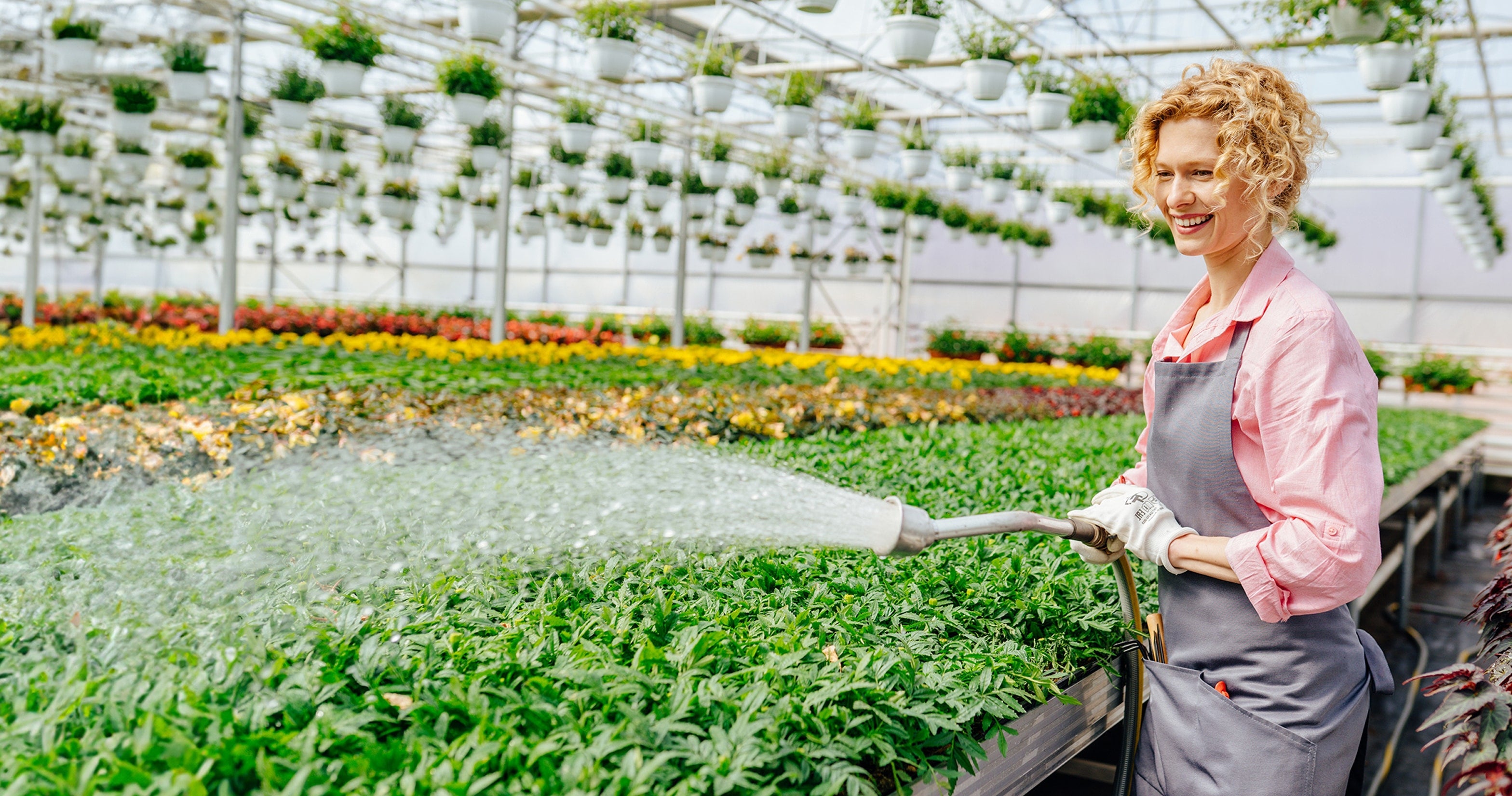 OASIS® SOAX® Wetting Agents
