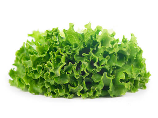OASIS® HORTICUBES®