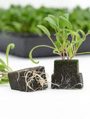 Oasis® AeroSelect™ PlugSheet