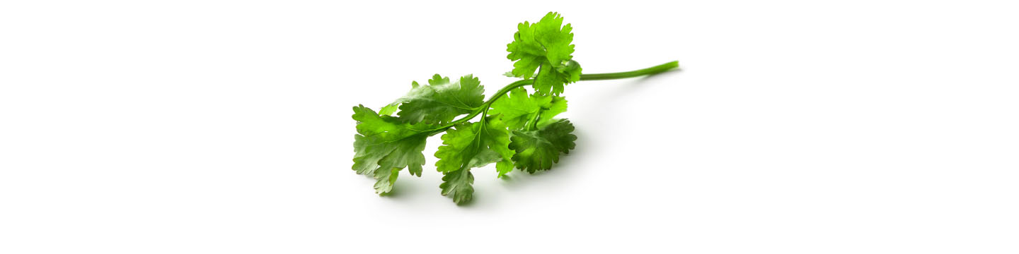 Parsley