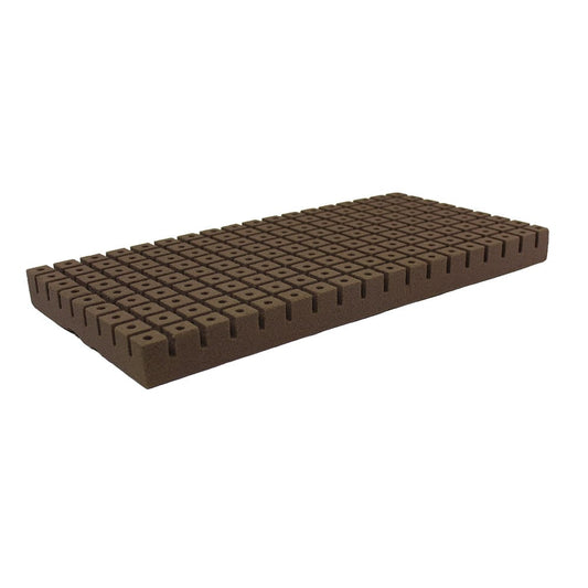 162 CT OASIS® ROOTCUBES®